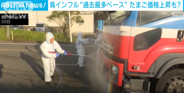 日本養雞場接連爆發禽流感 過百萬隻雞被撲殺 日本蛋價或上漲