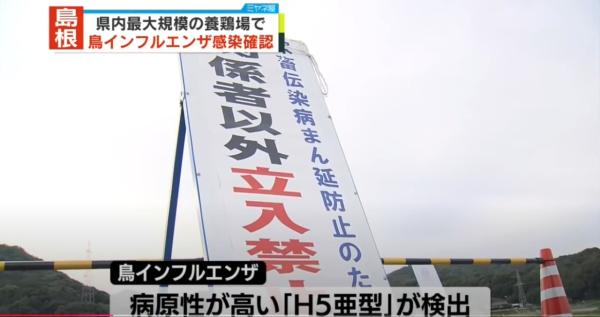 日本養雞場接連爆發禽流感 過百萬隻雞被撲殺 日本蛋價或上漲
