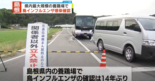 日本養雞場接連爆發禽流感 過百萬隻雞被撲殺 日本蛋價或上漲