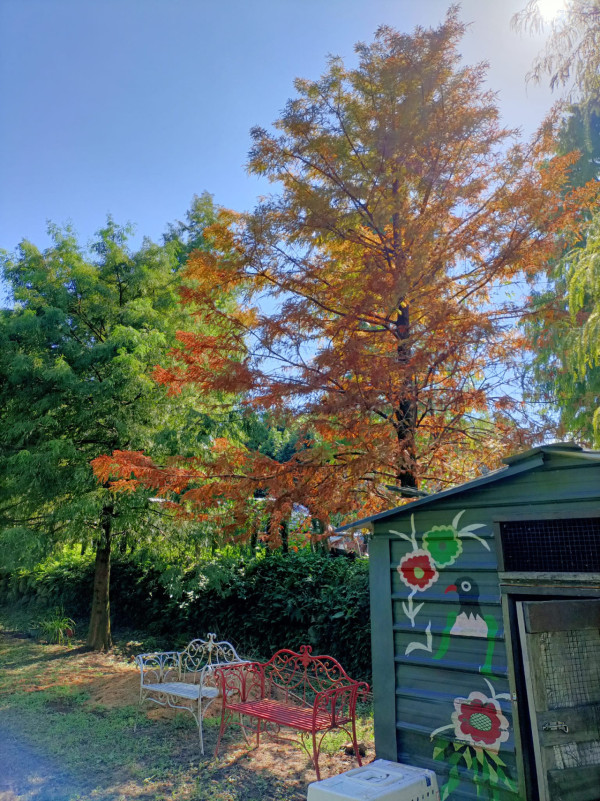 台北親子遊10大好去處 遊樂場/親子農場/動物園/室內溜冰 