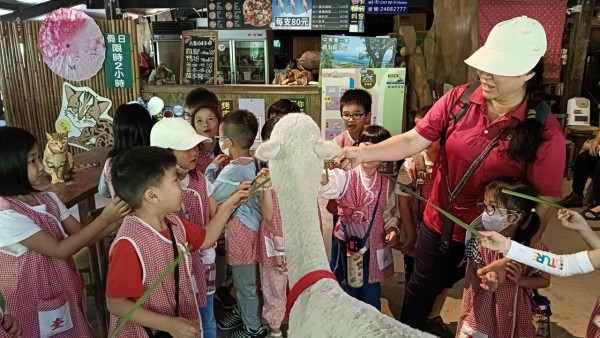 台北親子遊10大好去處 遊樂場/親子農場/動物園/室內溜冰 