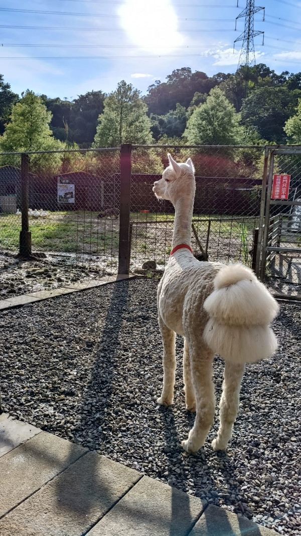 台北親子遊10大好去處 遊樂場/親子農場/動物園/室內溜冰 