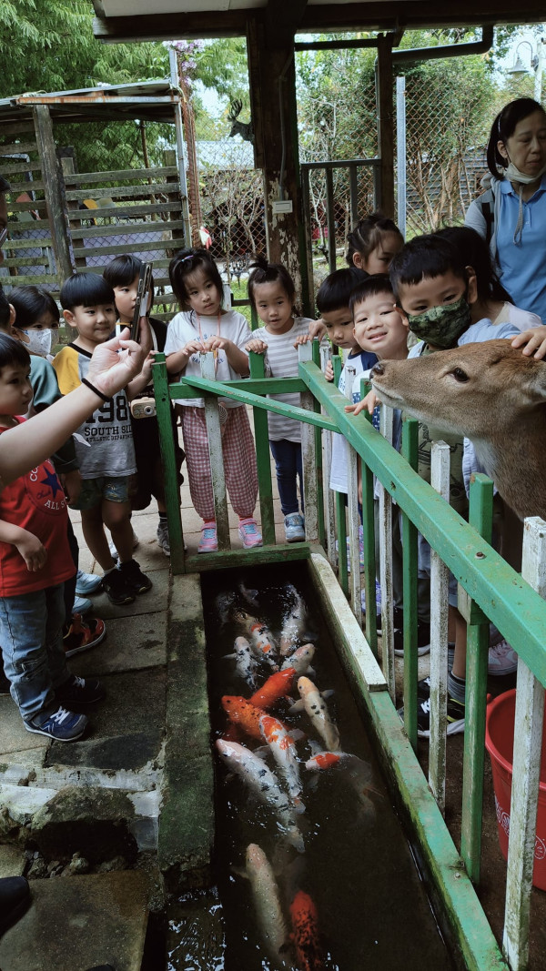 台北親子遊10大好去處 遊樂場/親子農場/動物園/室內溜冰 