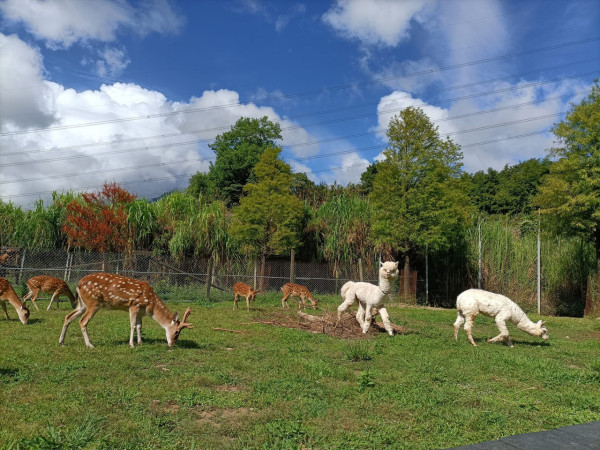 台北親子遊10大好去處 遊樂場/親子農場/動物園/室內溜冰 