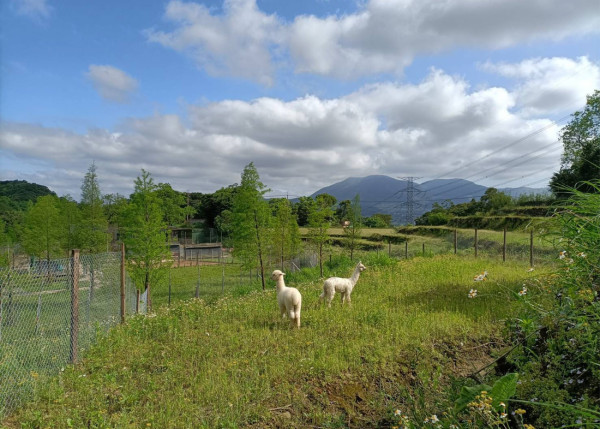 台北親子遊10大好去處 遊樂場/親子農場/動物園/室內溜冰 