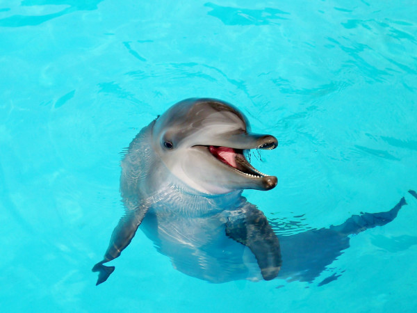 台北親子遊10大好去處 遊樂場/親子農場/動物園/室內溜冰 