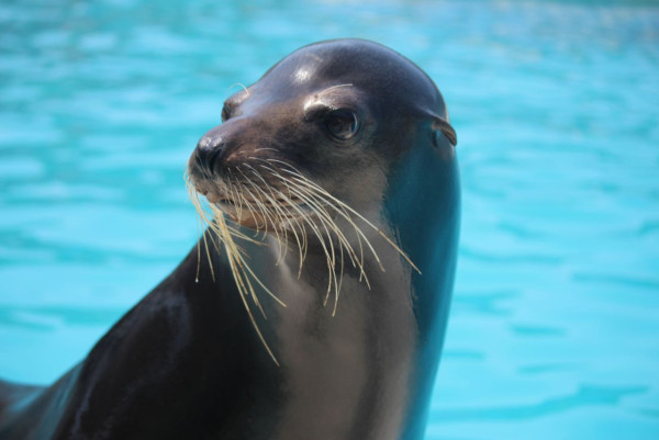 台北親子遊10大好去處 遊樂場/親子農場/動物園/室內溜冰 