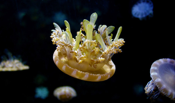 台北親子遊10大好去處 遊樂場/親子農場/動物園/室內溜冰 