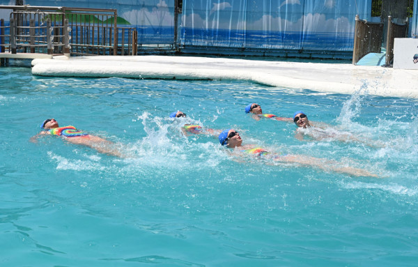 台北親子遊10大好去處 遊樂場/親子農場/動物園/室內溜冰 
