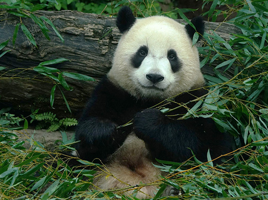 台北親子遊10大好去處 遊樂場/親子農場/動物園/室內溜冰 
