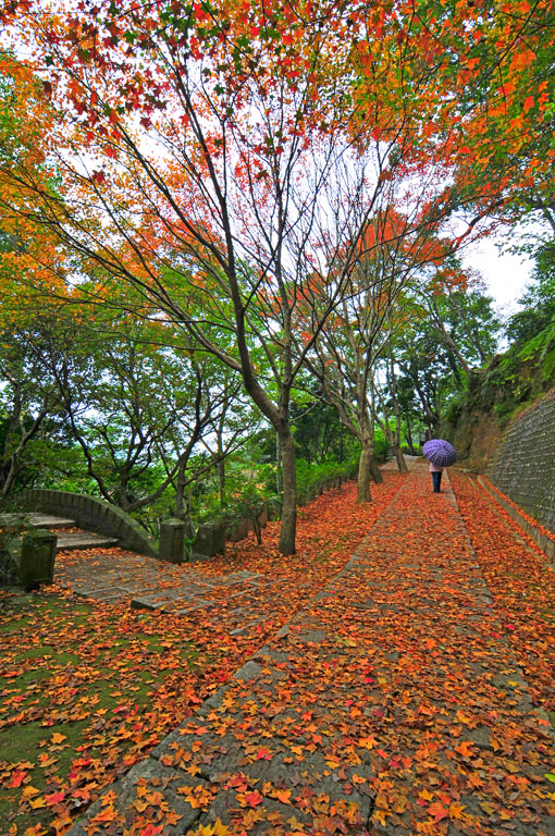 汐止拱北殿(圖片來源:汐止區公所) 汐止拱北殿(圖片來源:汐止區公所)