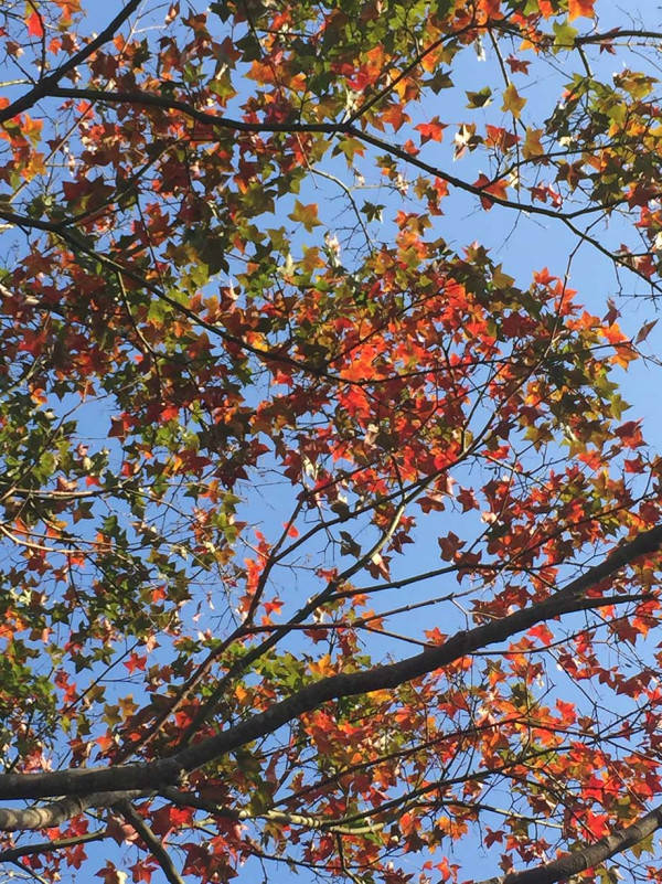 石門水庫(圖片來源:石門水庫官網) 石門水庫(圖片來源:石門水庫官網)