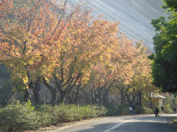 石門水庫(圖片來源:石門水庫官網) 石門水庫(圖片來源:石門水庫官網)