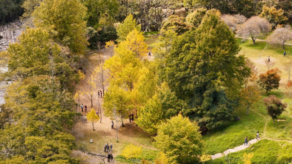 武陵農場(圖片來源:Facebook@武陵農場) 武陵農場(圖片來源:Facebook@武陵農場)