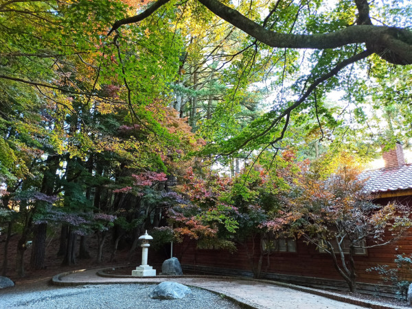 奧萬大森林遊樂區(圖片來源:Facebook@奧萬大情報站) 奧萬大森林遊樂區(圖片來源:Facebook@奧萬大情報站)