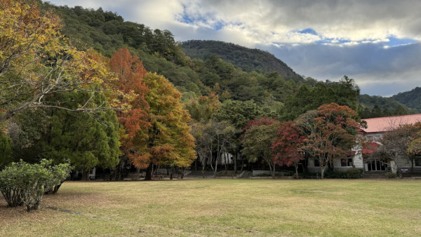 奧萬大森林遊樂區(圖片來源:Facebook@奧萬大情報站) 奧萬大森林遊樂區(圖片來源:Facebook@奧萬大情報站)