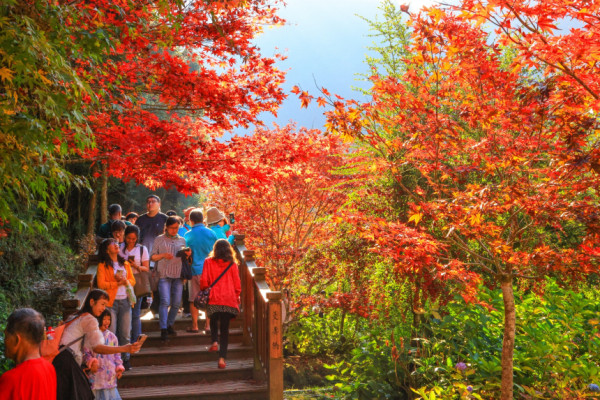 杉林溪森林生態渡假園區(圖片來源:杉林溪森林生態渡假園區官網) 杉林溪森林生態渡假園區(圖片來源:杉林溪森林生態渡假園區官網)