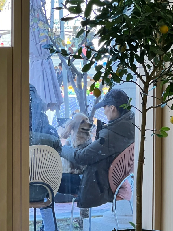 梁洛施疑被爆新戀情 梁洛施疑被爆新戀情