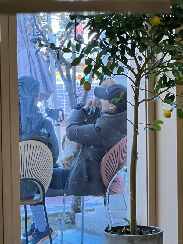 梁洛施疑被爆新戀情 梁洛施疑被爆新戀情