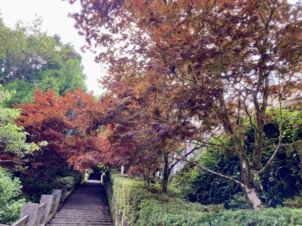 太平山國家森林遊樂區(圖片來源:Facebook@林業及自然保育署) 太平山國家森林遊樂區(圖片來源:Facebook@林業及自然保育署)