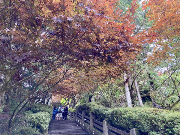 太平山國家森林遊樂區(圖片來源:Facebook@林業及自然保育署) 太平山國家森林遊樂區(圖片來源:Facebook@林業及自然保育署)