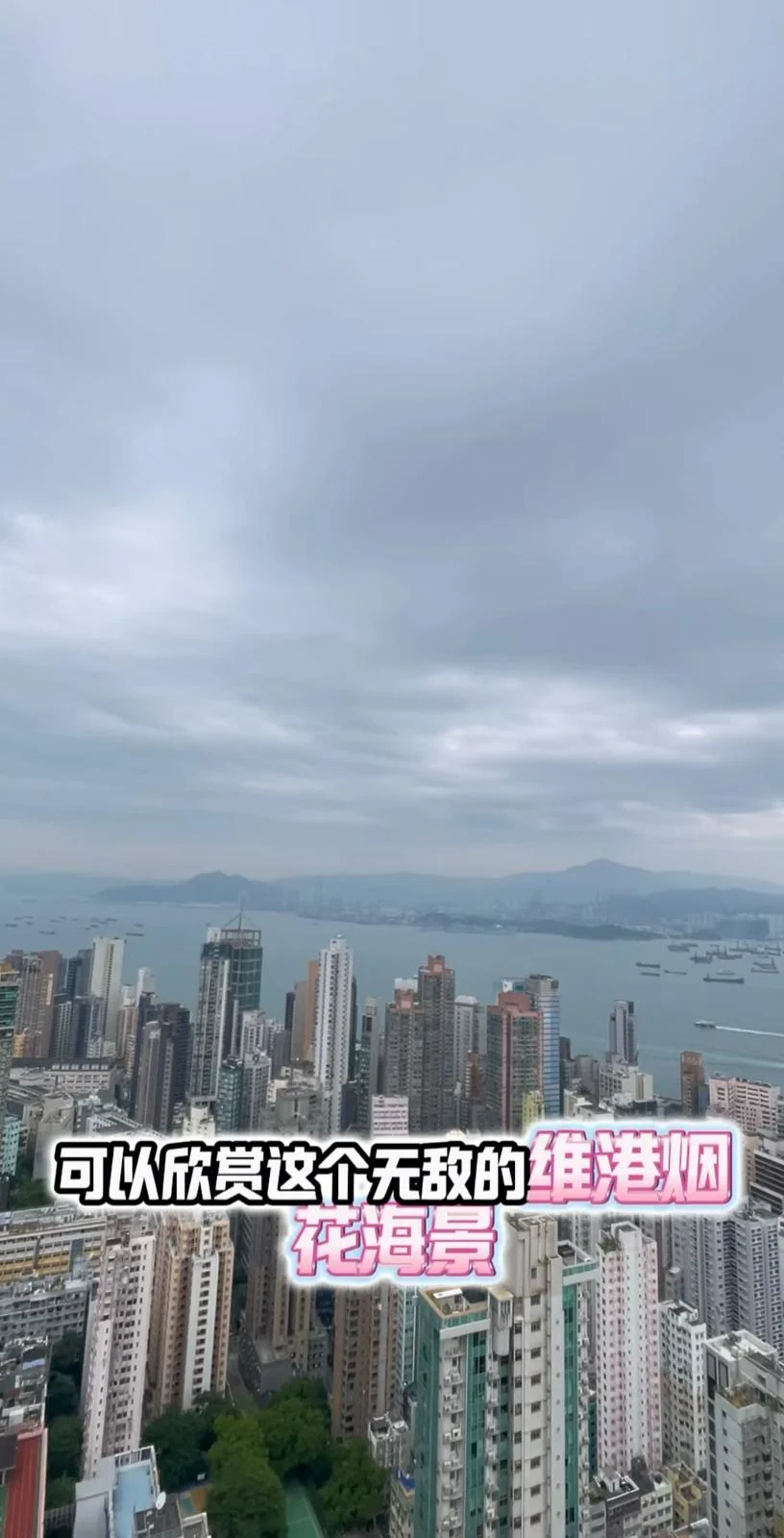 Mandy Lieu英國生圖曝光！搬離億萬豪宅 樸素打扮零化妝狀態驚人 