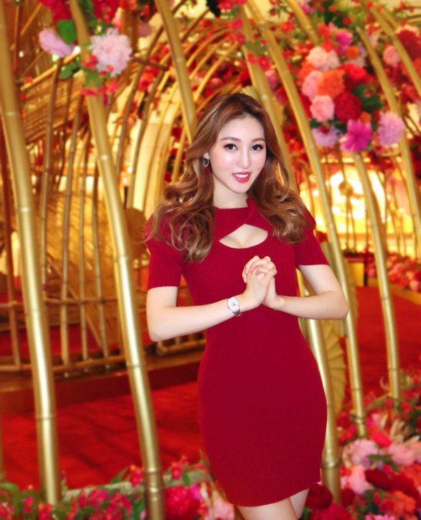 何艷娟現身港大法律系晚宴