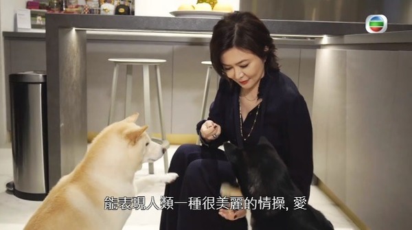 楊洛婷與老公巴黎鐵塔下浪漫留影 重穿十年前婚禮晚裝 身材依然弗爆 