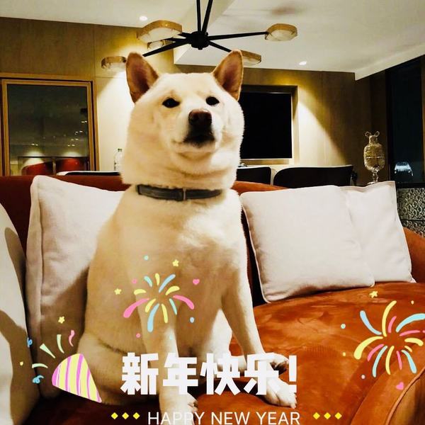 楊洛婷與老公巴黎鐵塔下浪漫留影 重穿十年前婚禮晚裝 身材依然弗爆 