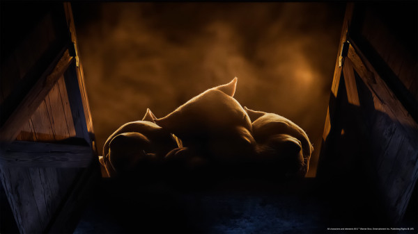 新加坡《哈利波特:魔法幻境》|沉浸式互動體驗!重現魔法部/萬應屋/奇獸皮箱