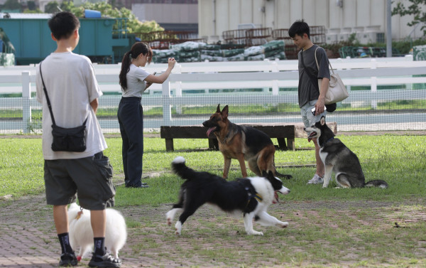 寵物入境移民香港｜漁護署進口貓狗檢疫期大幅減至30天 附條件申請程序