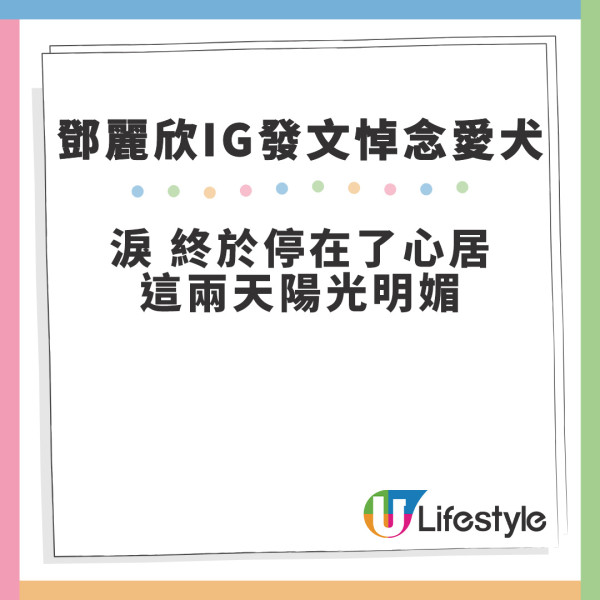 鄧麗欣14歲愛犬年糕仔近日逝世 IG撰長文243字悼念︰要去更好的地方