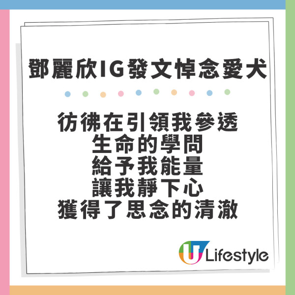 鄧麗欣14歲愛犬年糕仔近日逝世 IG撰長文243字悼念︰要去更好的地方