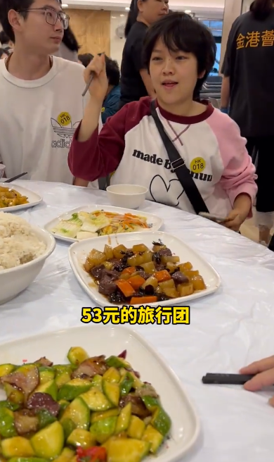 香港旅行團$53一日遊包食飯 去勻8個景點！網民疑惑：到底如何賺錢？