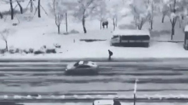 男子被捕獲暴雪下滑雪返工 「韓版黎生」超狂身份曝光!