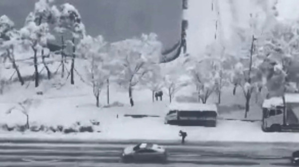 男子被捕獲暴雪下滑雪返工 「韓版黎生」超狂身份曝光!