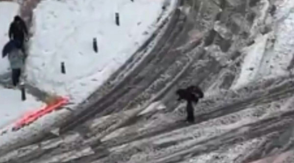 男子被捕獲暴雪下滑雪返工 「韓版黎生」超狂身份曝光!