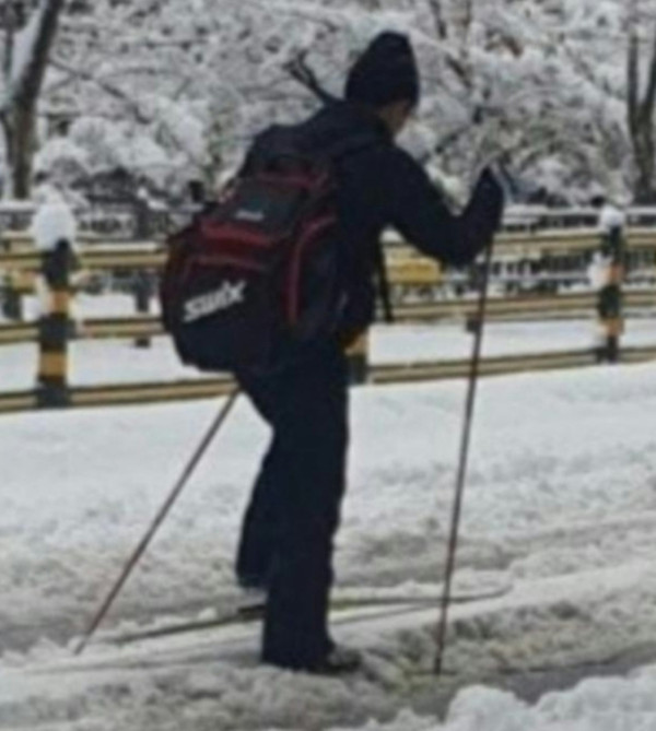 男子被捕獲暴雪下滑雪返工 「韓版黎生」超狂身份曝光!