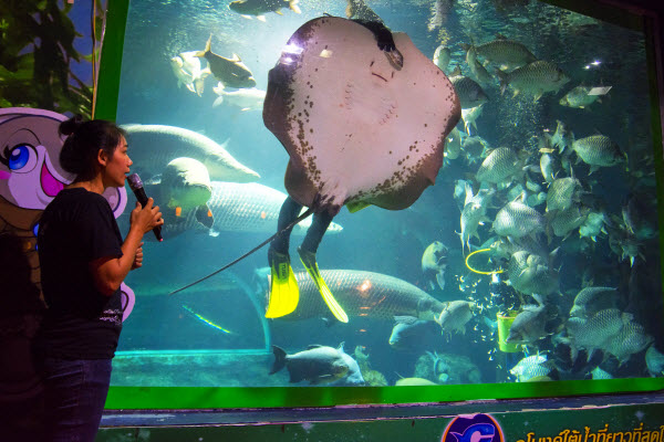 清邁自由行2026|清邁逾20景點必去:坐熱氣球、逛市集夜市、歎米芝蓮咖哩麵