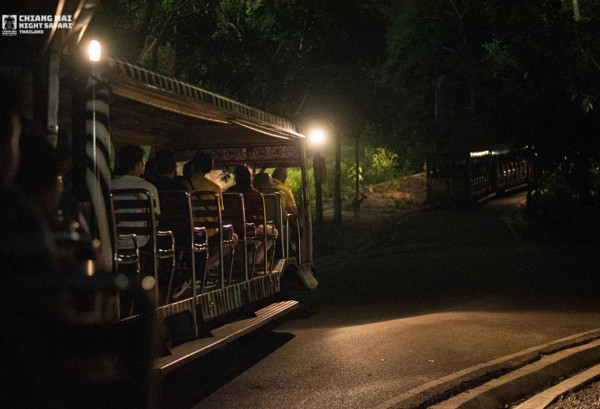 清邁自由行2026｜清邁逾20景點必去：坐熱氣球、逛市集夜市、歎米芝蓮咖哩麵 