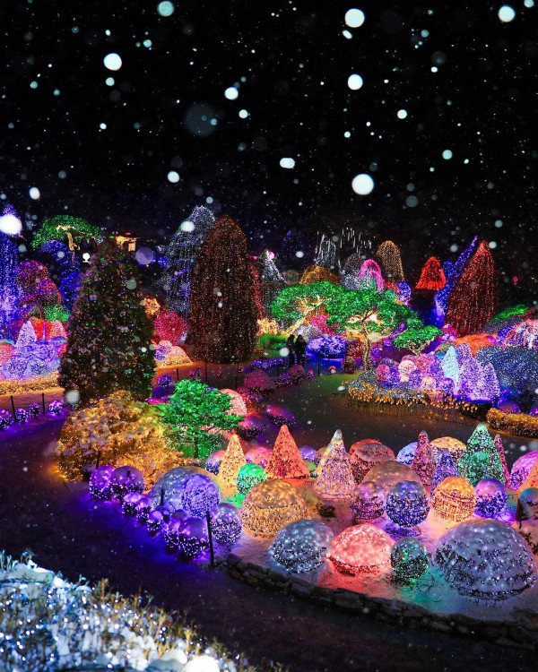 晨靜樹木園（圖片來源：IG@morningcalm_garden）