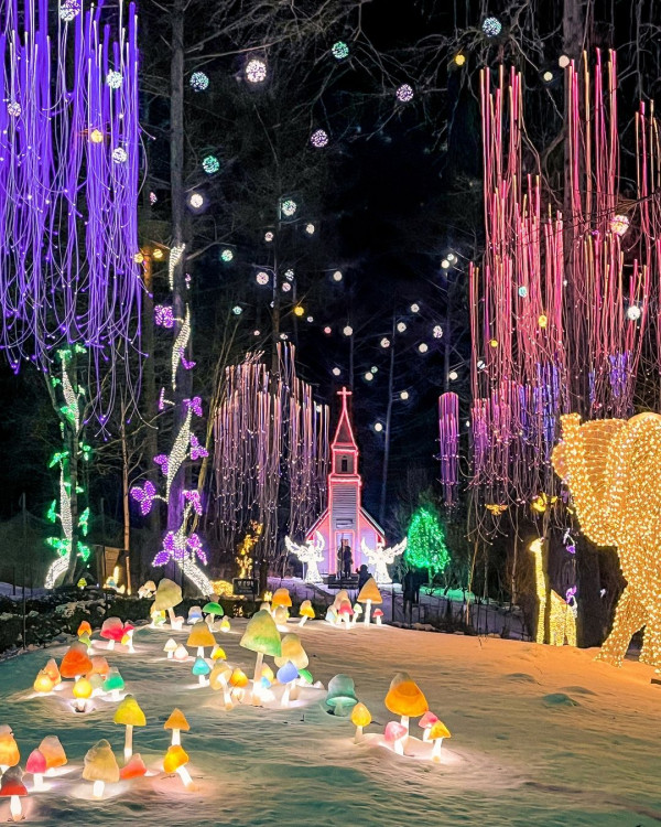 晨靜樹木園（圖片來源：IG@morningcalm_garden）