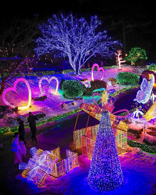 晨靜樹木園（圖片來源：IG@morningcalm_garden）