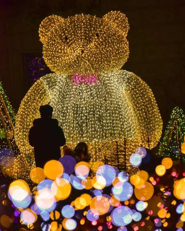 晨靜樹木園（圖片來源：IG@morningcalm_garden）