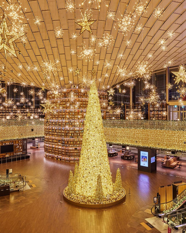 COEX 星空圖書館（圖片來源：IG@starfield.library）