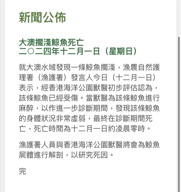 大澳鯨魚擱淺 終搶救無效亡　目擊者：死前不斷掙扎