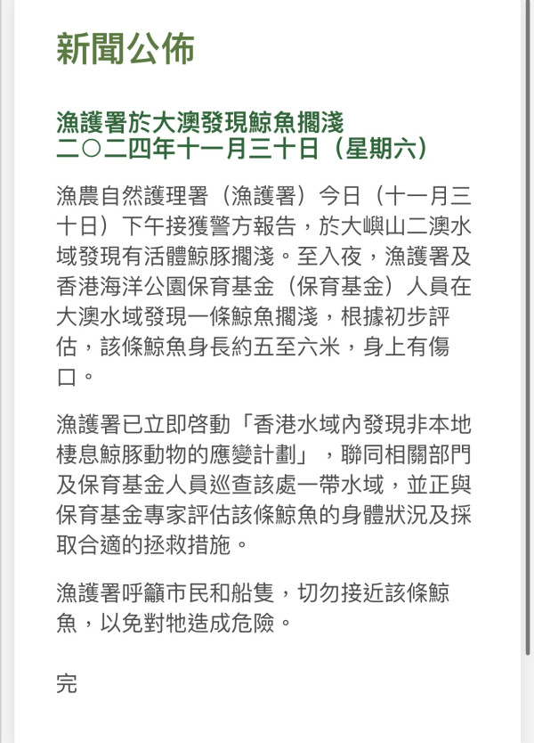 大澳鯨魚擱淺 終搶救無效亡　目擊者：死前不斷掙扎