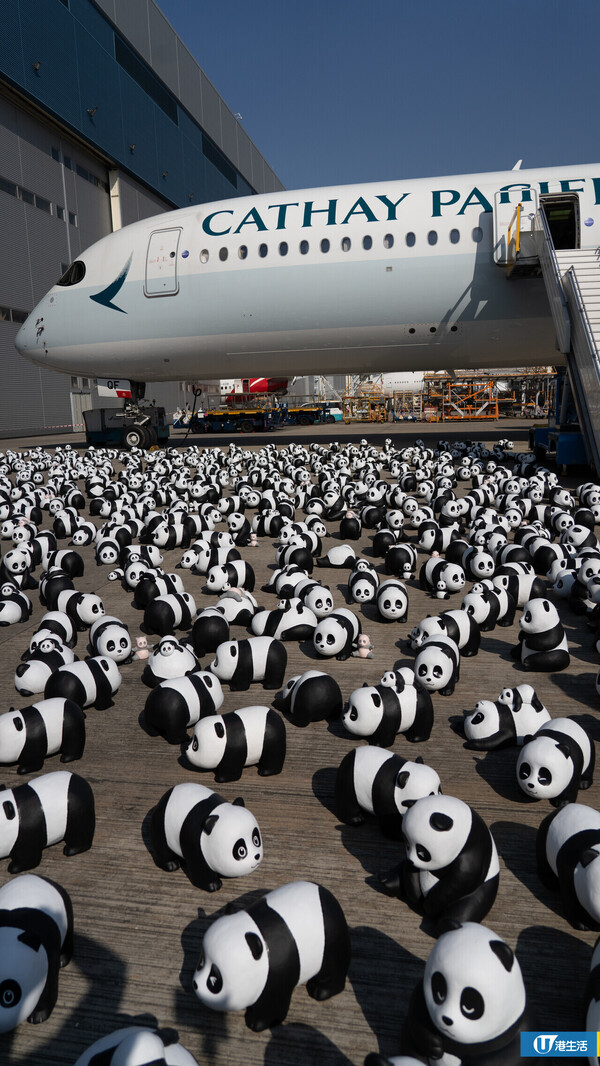 PANDA GO！香港遊（圖片來源：編輯部）