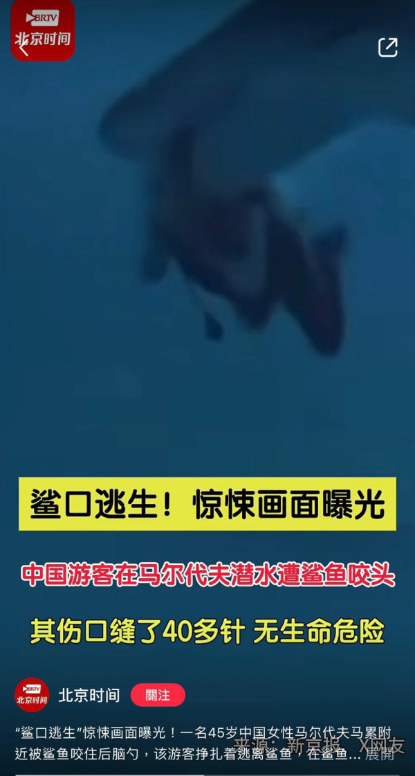 馬爾代夫鯊魚險咬甩中國女遊客人頭影片曝光（影片來源︰小紅書@北京時間）