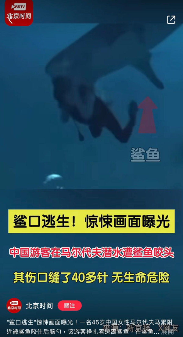 馬爾代夫鯊魚險咬甩中國女遊客人頭影片曝光（影片來源︰小紅書@北京時間）